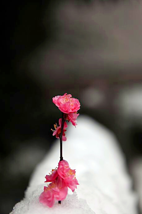 砥砺前行.1.JPG