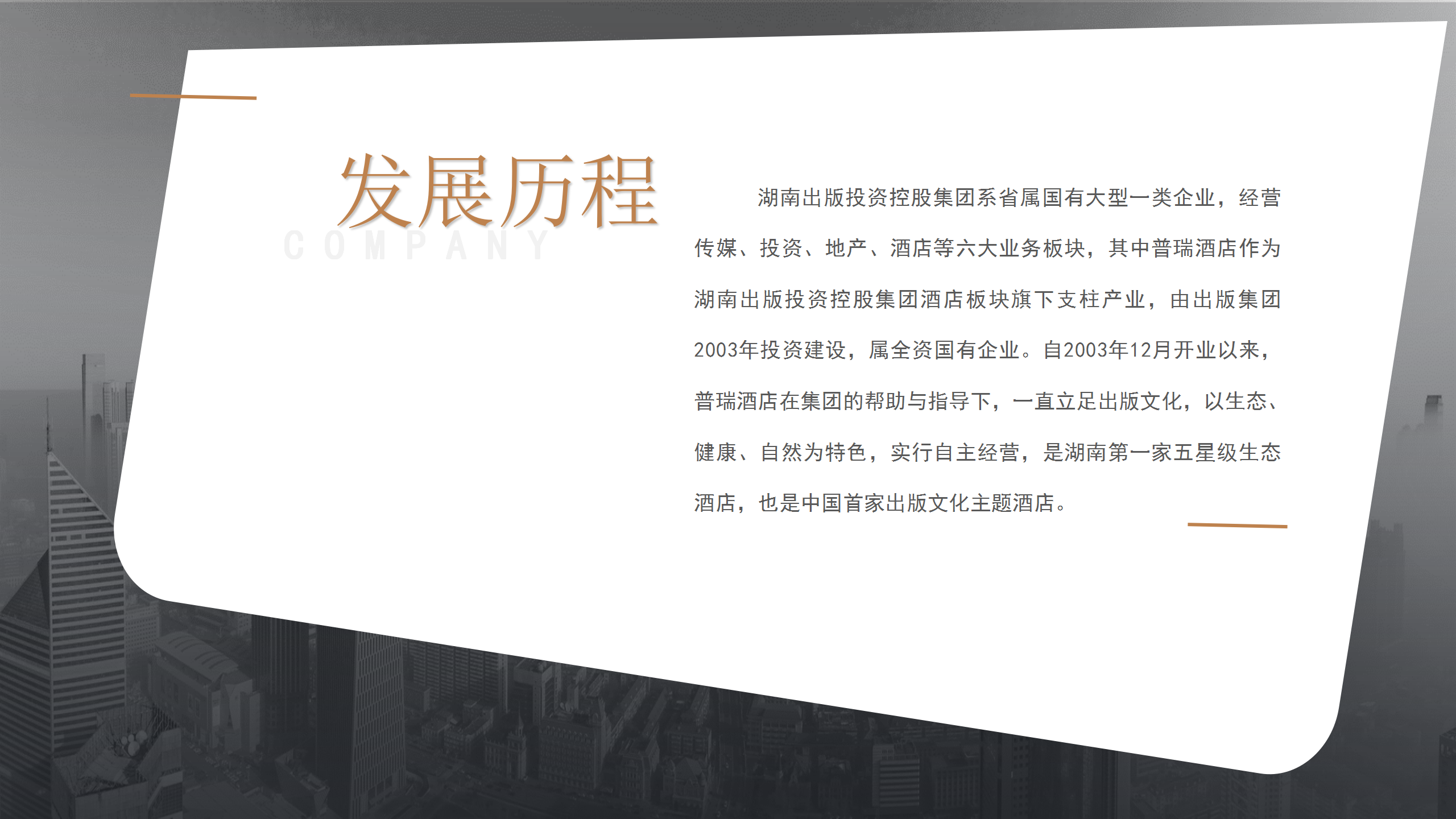 普瑞酒店招商文件_04.png